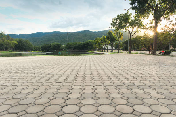 Best Decorative Driveway Pavers  in Montverde, FL